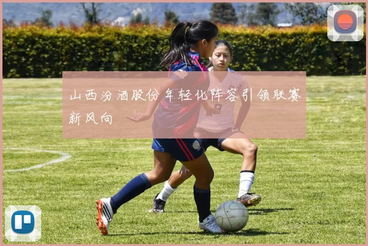 山西汾酒股份年轻化阵容引领联赛新风向
