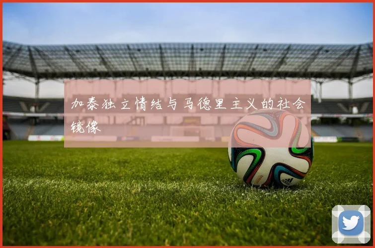 加泰独立情结与马德里主义的社会镜像