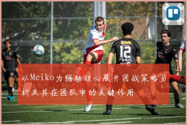 以Meiko为辅助核心展开团战策略分析及其在团队中的关键作用
