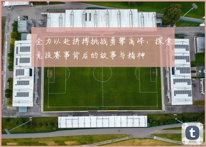 全力以赴拼搏挑战勇攀高峰，探索竞技赛事背后的故事与精神