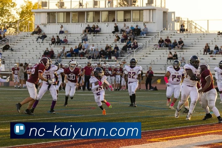 多媒体互动体验